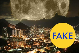 Illustration for article titled 86 Viral Images From 2014 That Were Totally Fake